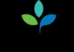 Totara